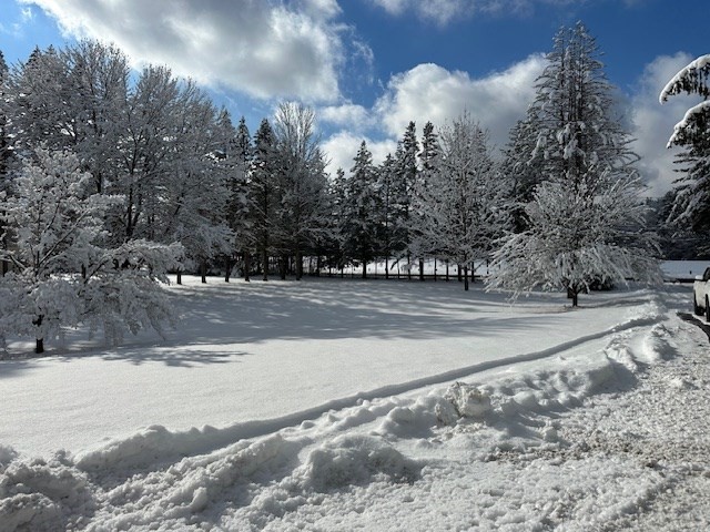 61 Fuller Rd, Palmer, Massachusetts, 4 Bedrooms Bedrooms, 9 Rooms Rooms,2.5 BathroomsBathrooms,Residential,For Sale,Fuller Rd,73483566