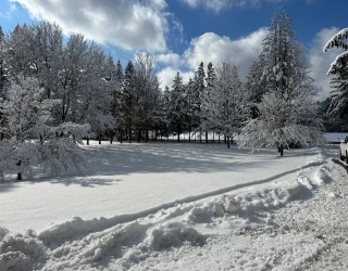 61 Fuller Rd, Palmer, Massachusetts, 4 Bedrooms Bedrooms, 9 Rooms Rooms,2.5 BathroomsBathrooms,Residential,For Sale,Fuller Rd,73483566
