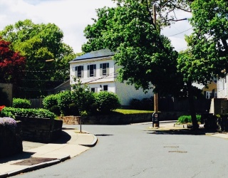 43 Fairlane Rd, Boston, Massachusetts, 3 Bedrooms Bedrooms, 6 Rooms Rooms,1.5 BathroomsBathrooms,Residential Lease,For Rent,Fairlane Rd,73481764