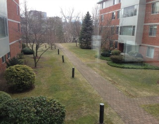 193 Oak St, Newton, Massachusetts, 2 Bedrooms Bedrooms, 4 Rooms Rooms,2 BathroomsBathrooms,Residential Lease,For Rent,Oak St,73482576