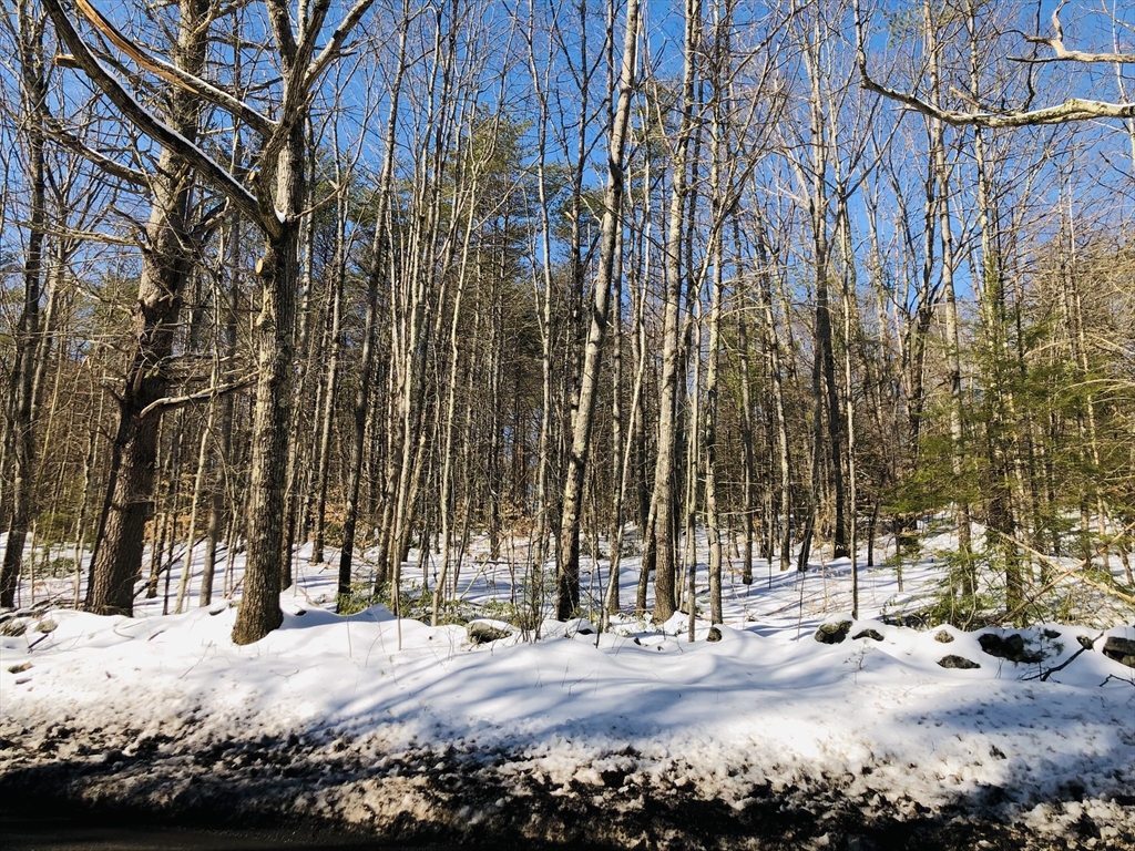 0 Royalston Rd, Phillipston, Massachusetts, ,Land,For Sale,Royalston Rd,73483910