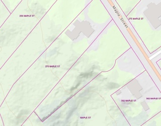 0 Maple St, Springfield, Massachusetts, ,Land,For Sale,Maple St,73484572