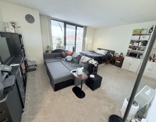 60 Longwood Ave, Brookline, Massachusetts, 2 Rooms Rooms,1 BathroomBathrooms,Residential Lease,For Rent,Longwood Ave,73484628