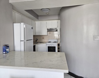 49 Cottage St, Boston, Massachusetts, 1 Bedroom Bedrooms, 3 Rooms Rooms,1 BathroomBathrooms,Residential Lease,For Rent,Cottage St,73485246