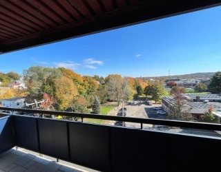 32 Whites Ave, Watertown, Massachusetts, 1 Bedroom Bedrooms, 3 Rooms Rooms,1 BathroomBathrooms,Residential,For Sale,Whites Ave,73485108