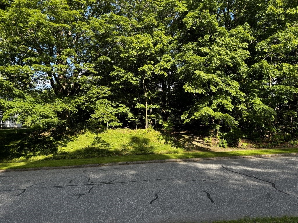 56 Highland Ave, Holden, Massachusetts, ,Land,For Sale,Highland Ave,73386446