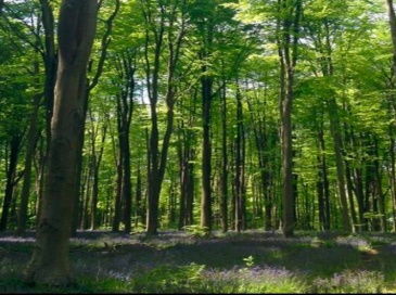 LOT 1 Winterberry Ln, Easton, Massachusetts, ,Land,For Sale,Winterberry Ln,73486079