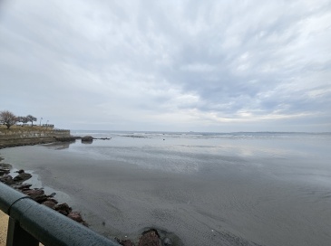 285 Lynn Shore Drive, Lynn, Massachusetts, 1 Bedroom Bedrooms, 3 Rooms Rooms,1 BathroomBathrooms,Residential,For Sale,Lynn Shore Drive,73476301 285 Lynn Shore Drive, Lynn, Massachusetts, 1 Bedroom Bedrooms, 3 Rooms Rooms,1 BathroomBathrooms,Residential,For Sale,Lynn Shore Drive,73476301