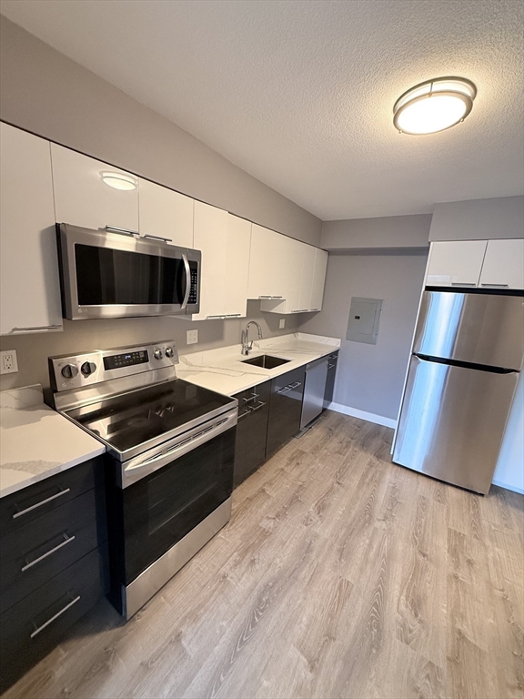 846 Massachusetts Ave, Arlington, Massachusetts, 2 Bedrooms Bedrooms, 5 Rooms Rooms,3.5 BathroomsBathrooms,Residential Lease,For Rent,Massachusetts Ave,73486677