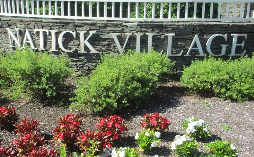 29 Village Rock, Natick, Massachusetts, 1 Bedroom Bedrooms, 4 Rooms Rooms,1 BathroomBathrooms,Residential Lease,For Rent,Village Rock,73486771