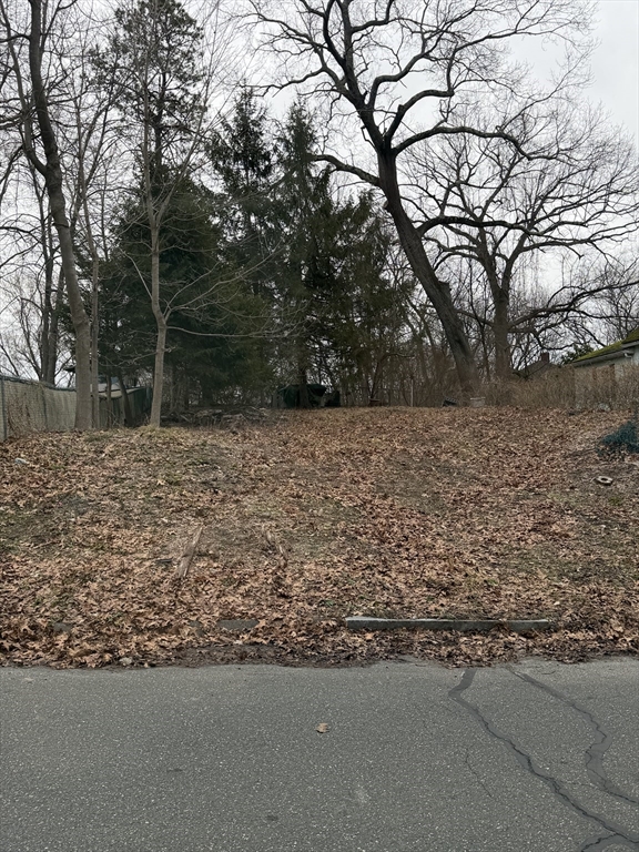 0 Laurelton St (Es), Springfield, Massachusetts, ,Land,For Sale,Laurelton St (Es),73487406
