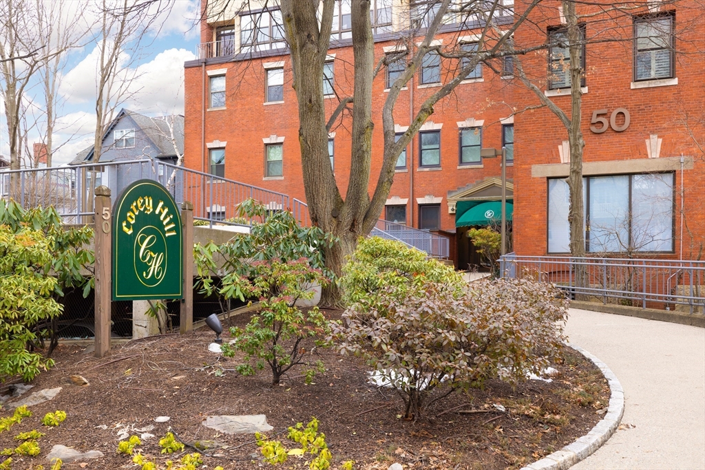 50 Winchester Street, Brookline, Massachusetts, 3 Bedrooms Bedrooms, 6 Rooms Rooms,2.5 BathroomsBathrooms,Residential,For Sale,Winchester Street,73489083