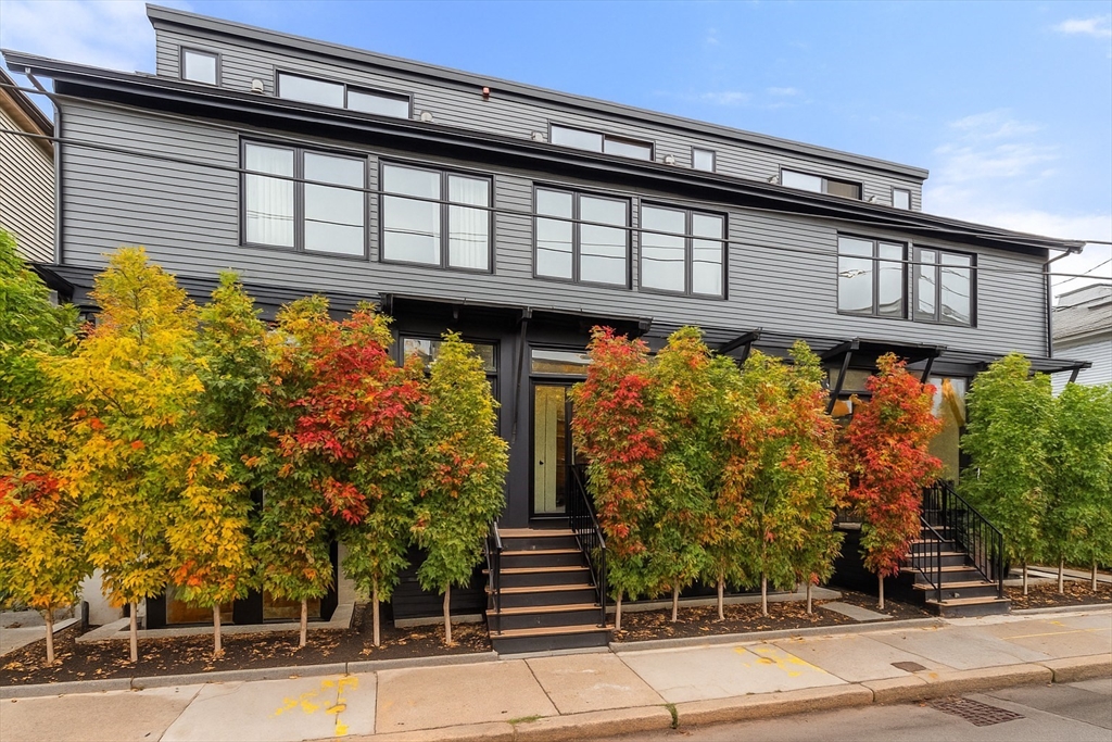 63 Bristol Street, Cambridge, Massachusetts, 4 Bedrooms Bedrooms, 7 Rooms Rooms,3.5 BathroomsBathrooms,Residential,For Sale,Bristol Street,73429629