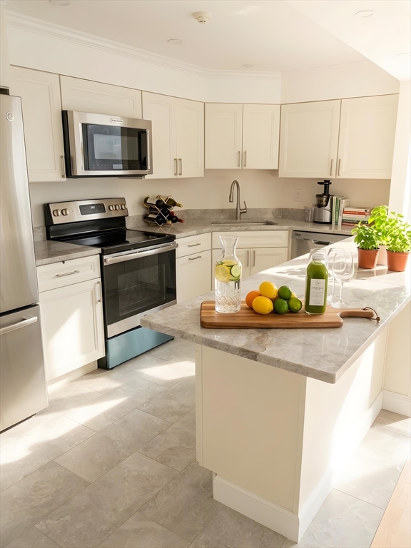 125 Pleasant, Brookline, Massachusetts, 2 Bedrooms Bedrooms, 4 Rooms Rooms,2 BathroomsBathrooms,Residential Lease,For Rent,Pleasant,73490686