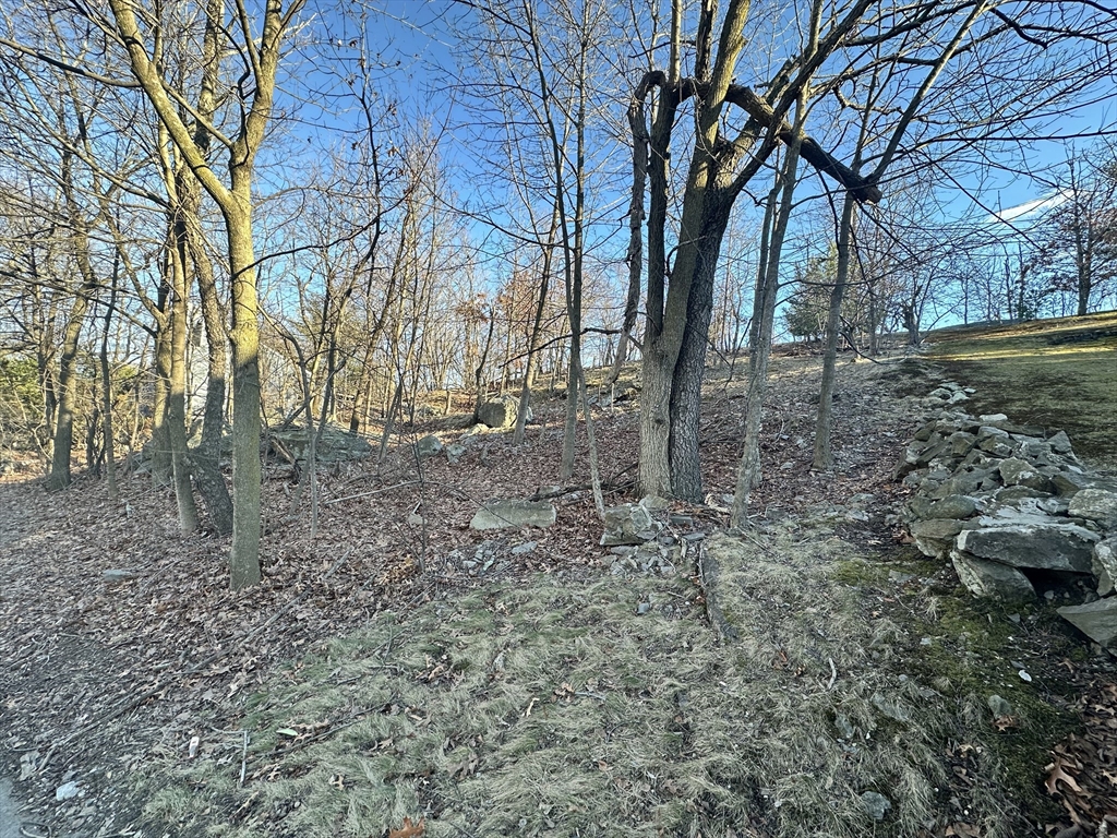 0 Vfw Parkway, Boston, Massachusetts, ,Land,For Sale,Vfw Parkway,73491016