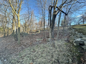 0 Vfw Parkway, Boston, Massachusetts, ,Land,For Sale,Vfw Parkway,73491016