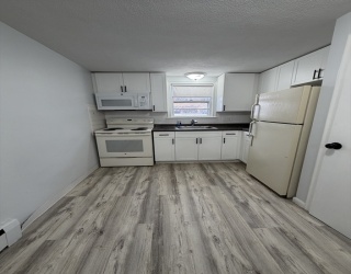 85 Trapelo, Waltham, Massachusetts, 1 Bedroom Bedrooms, 3 Rooms Rooms,1 BathroomBathrooms,Residential Lease,For Rent,Trapelo,73481038
