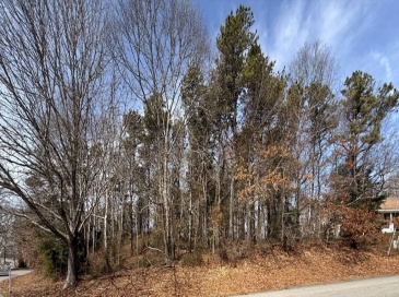 1 Luigi, Bourne, Massachusetts, ,Land,For Sale,Luigi,73491841