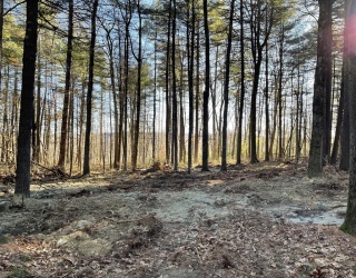 Lot 38 Michael Sears, Belchertown, Massachusetts, ,Land,For Sale,Michael Sears,73491869