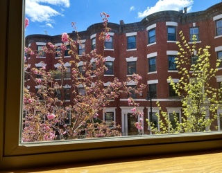 103 Gainsborough St, Boston, Massachusetts, 1 Bedroom Bedrooms, 3 Rooms Rooms,1 BathroomBathrooms,Residential Lease,For Rent,Gainsborough St,73492476