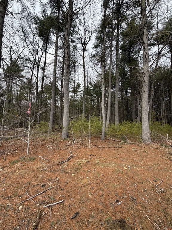 0 Pine St, Raynham, Massachusetts, ,Land,For Sale,Pine St,73492996