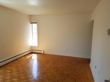 524 Putnam Ave, Cambridge, Massachusetts, 1 Bedroom Bedrooms, 3 Rooms Rooms,1 BathroomBathrooms,Residential Lease,For Rent,Putnam Ave,73493004