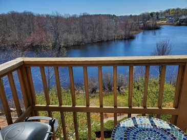 24 Forge Pond, Canton, Massachusetts, 2 Bedrooms Bedrooms, 4 Rooms Rooms,2 BathroomsBathrooms,Residential,For Sale,Forge Pond,73473881 24 Forge Pond, Canton, Massachusetts, 2 Bedrooms Bedrooms, 4 Rooms Rooms,2 BathroomsBathrooms,Residential,For Sale,Forge Pond,73473881