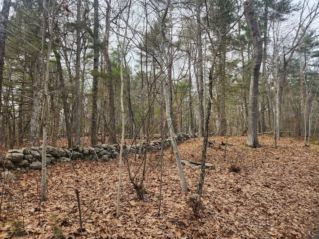 147 Washington Street Lot 2, Sherborn, Massachusetts, ,Land,For Sale,Washington Street Lot 2,73493089