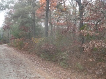 22-38 Lewis Trl, Charlestown, Rhode Island, ,Land,For Sale,Lewis Trl,73493191