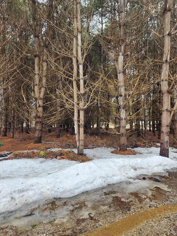 54 E Main St, Plainfield, Massachusetts, ,Land,For Sale,E Main St,73493264