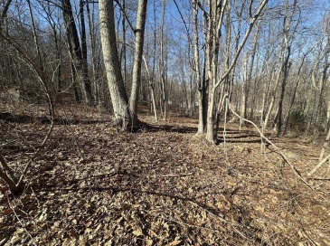 Lot 1 Woodhill Rd, Monson, Massachusetts, ,Land,For Sale,Woodhill Rd,73493317