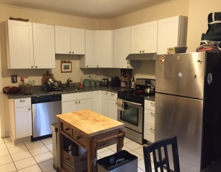 25 Newton Street, Boston, Massachusetts, 2 Bedrooms Bedrooms, 5 Rooms Rooms,1 BathroomBathrooms,Residential Lease,For Rent,Newton Street,73493382