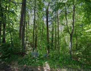 150 Hazel St, Uxbridge, Massachusetts, ,Land,For Sale,Hazel St,73493453