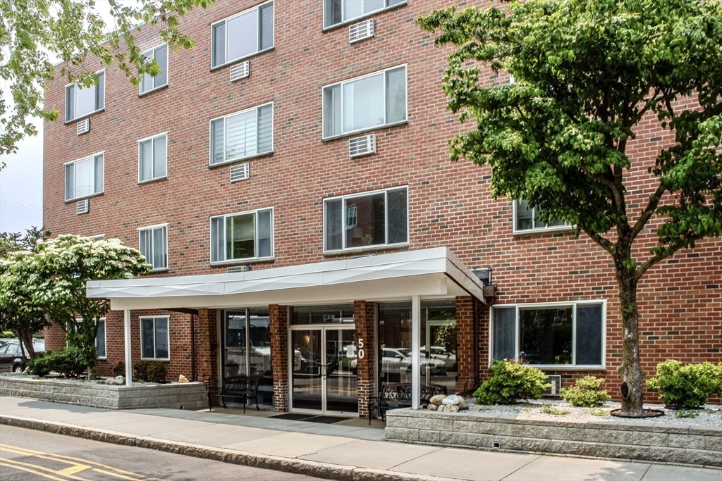 50 Green, Brookline, Massachusetts, 1 Bedroom Bedrooms, 4 Rooms Rooms,1 BathroomBathrooms,Residential Lease,For Rent,Green,73493642