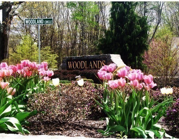 2311 Briarwood Vlg, Clinton, Massachusetts, 2 Bedrooms Bedrooms, 5 Rooms Rooms,2 BathroomsBathrooms,Residential,For Sale,Briarwood Vlg,73493741