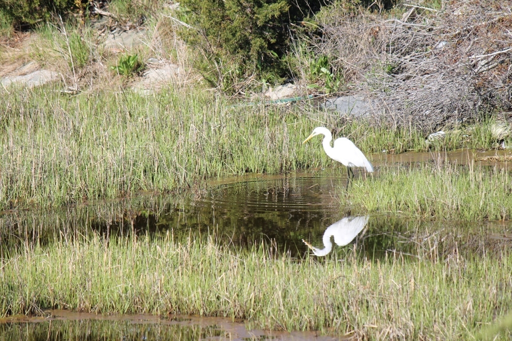 00 George Washington Boulevard, Hull, Massachusetts, ,Land,For Sale,George Washington Boulevard,73494016