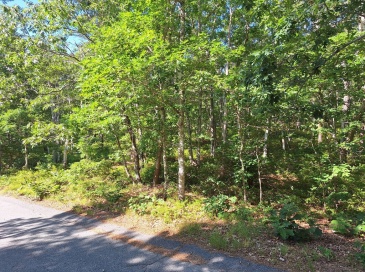 49 Oak Valley Rd, Wellfleet, Massachusetts, ,Land,For Sale,Oak Valley Rd,73409303