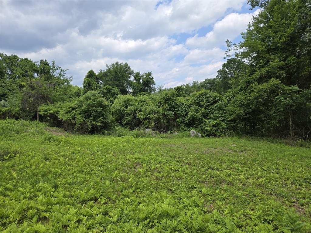 0 Old Stage Rd, Hatfield, Massachusetts, ,Land,For Sale,Old Stage Rd,73494659