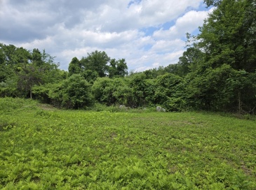 0 Old Stage Rd, Hatfield, Massachusetts, ,Land,For Sale,Old Stage Rd,73494659