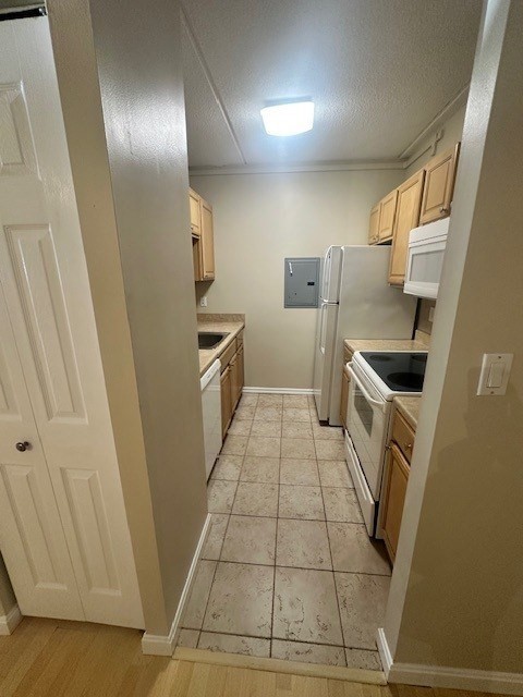 12 -16 Ellery, Cambridge, Massachusetts, 2 Bedrooms Bedrooms, 3 Rooms Rooms,1 BathroomBathrooms,Residential Lease,For Rent,Ellery,73495129