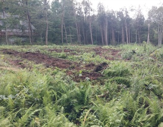 TS12 &TTR8 Slope Rd & Traaack, Tolland, Massachusetts, ,Land,For Sale,Slope Rd & Traaack,73495406