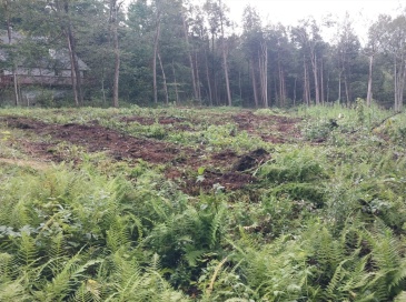 TS12 &TTR8 Slope Rd & Traaack, Tolland, Massachusetts, ,Land,For Sale,Slope Rd & Traaack,73495406