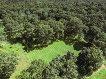 26 Flint Hill Road, West Tisbury, Massachusetts, ,Land,For Sale,Flint Hill Road,73495787