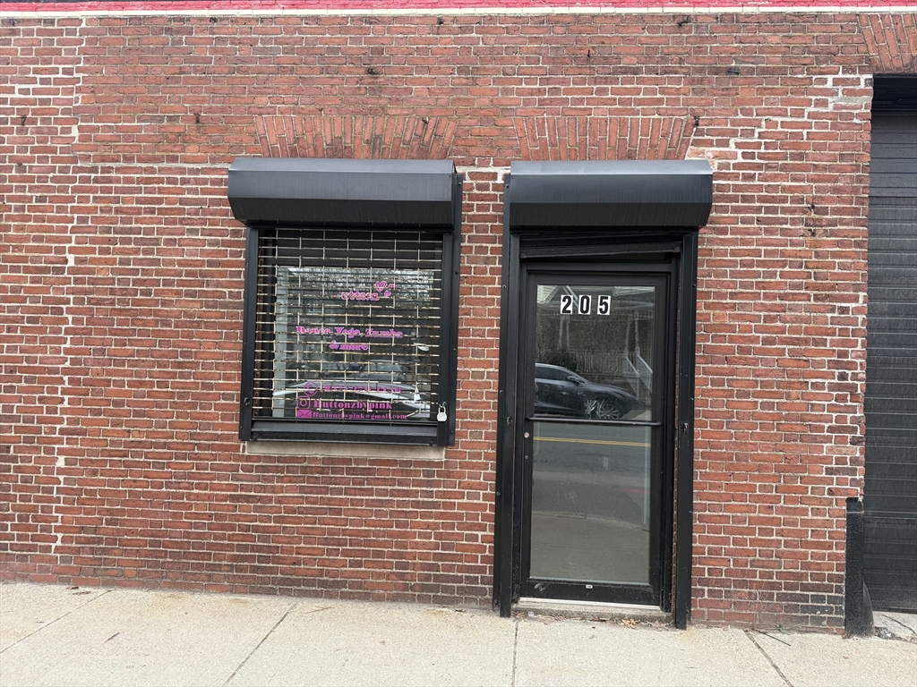 205 South Street, Boston, Massachusetts, ,Commercial Lease,For Rent,South Street,73495659