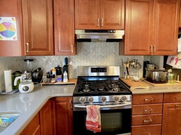 124 Carlisle Street, Newton, Massachusetts, 2 Bedrooms Bedrooms, 6 Rooms Rooms,1.5 BathroomsBathrooms,Residential Lease,For Rent,Carlisle Street,73495994