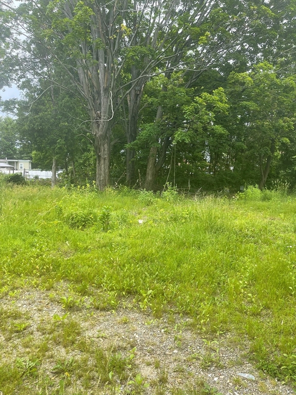 4 Tamarack St, Lowell, Massachusetts, ,Land,For Sale,Tamarack St,73392210