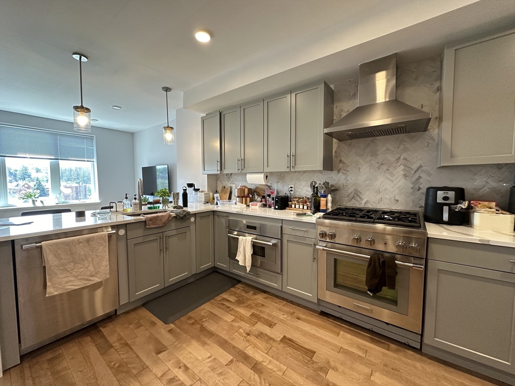 50 Hichborn St, Boston, Massachusetts, 2 Bedrooms Bedrooms, 5 Rooms Rooms,2 BathroomsBathrooms,Residential Lease,For Rent,Hichborn St,73496841