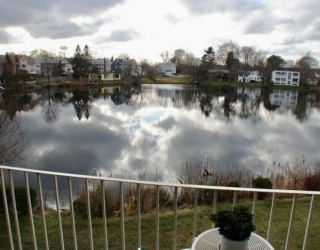 18 Hamilton Rd, Arlington, Massachusetts, 1 Bedroom Bedrooms, 3 Rooms Rooms,1 BathroomBathrooms,Residential Lease,For Rent,Hamilton Rd,73497375