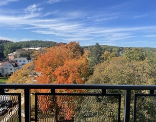 80 Salisbury St, Worcester, Massachusetts, 2 Bedrooms Bedrooms, 4 Rooms Rooms,2 BathroomsBathrooms,Residential Lease,For Rent,Salisbury St,73498191