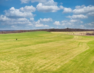 00 Old Post Road/Williamsburg Rd, Worthington, Massachusetts, ,Land,For Sale,Old Post Road/Williamsburg Rd,73498291